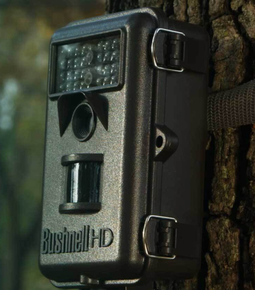 bushnell