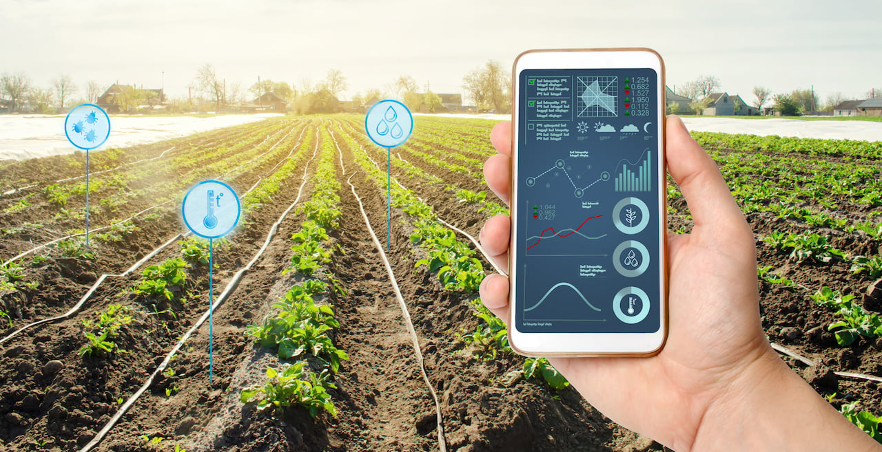 What Are IoT Sensors? Types, Uses, and Examples