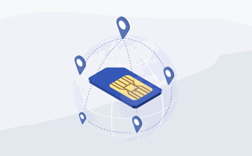 Global Carrier Connectivity