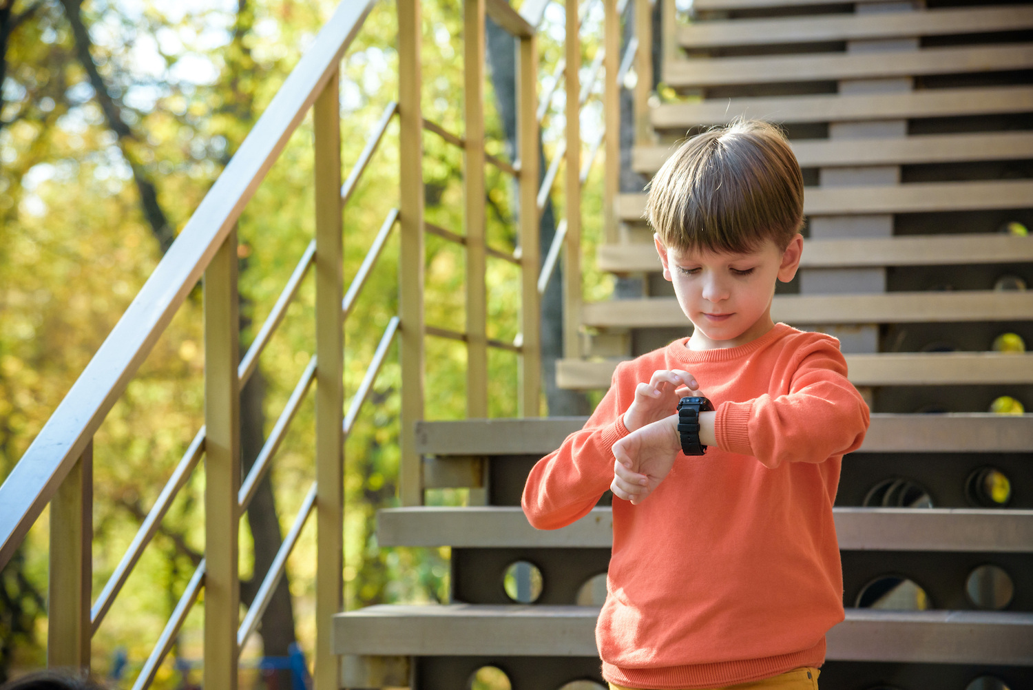 smartwatches